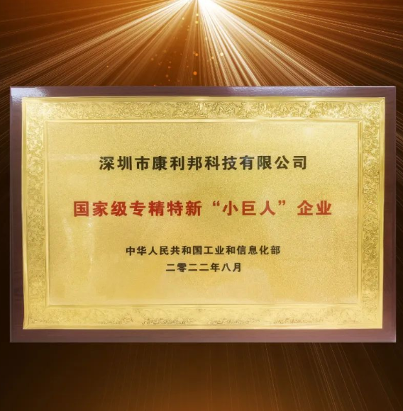 国家工信部颁发的国家级专精特新“小巨人”